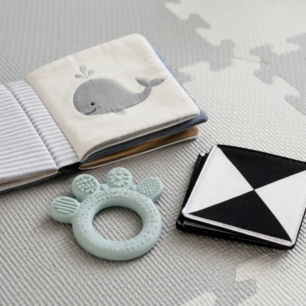 High-contrast and soft tummy time toys on a play mat